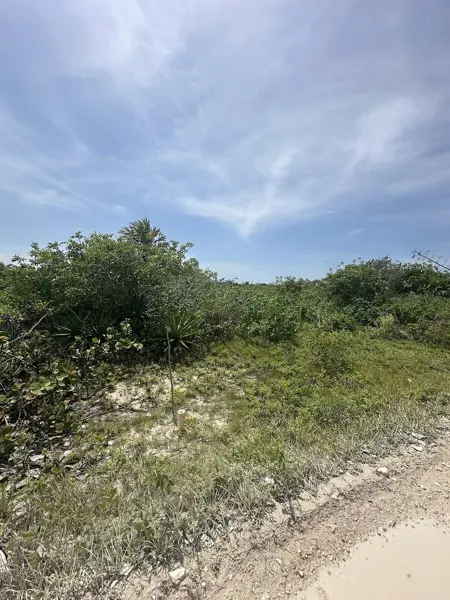 Terreno en venta en San Benito, Dzemul — foto 2 de 12