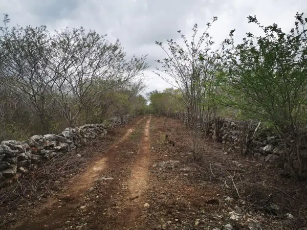 Terreno en venta en Sinanche, Sinanché — foto 2 de 8