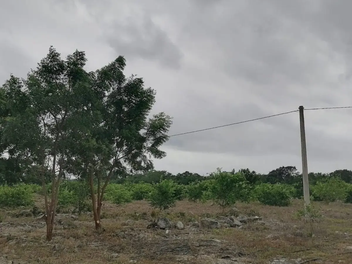 Finca-Rancho en venta en Yobaín, Yobaín — foto 1 de 16