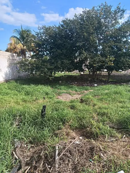 Terreno en renta en Kanasín Centro, Kanasín — foto 3 de 7