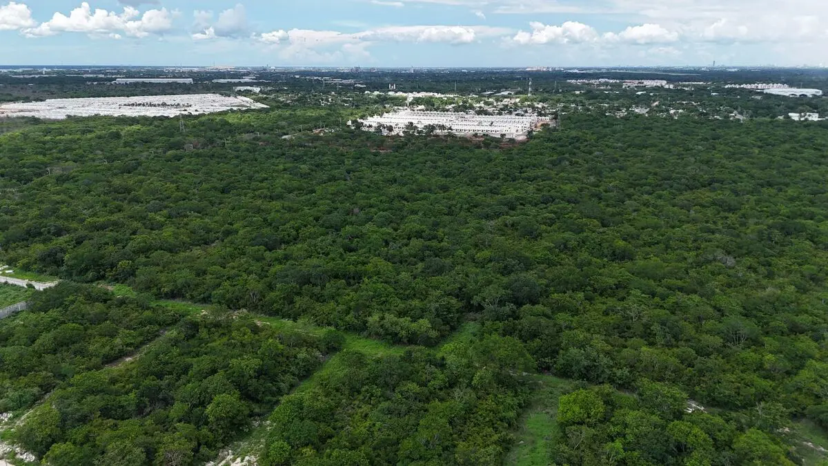 Terreno en venta en Santa Cruz Palomeque, Mérida — foto 1 de 5