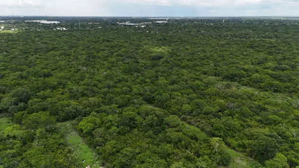 Terreno en venta en Santa Cruz Palomeque, Mérida — foto 2 de 5