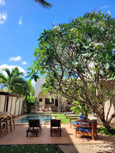 Edificio en venta en Merida Centro, Mérida — foto 3 de 28