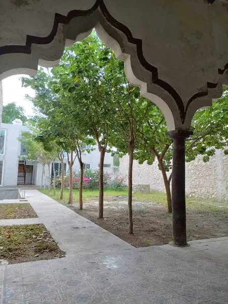 Edificio en venta en Merida Centro, Mérida — foto 3 de 20