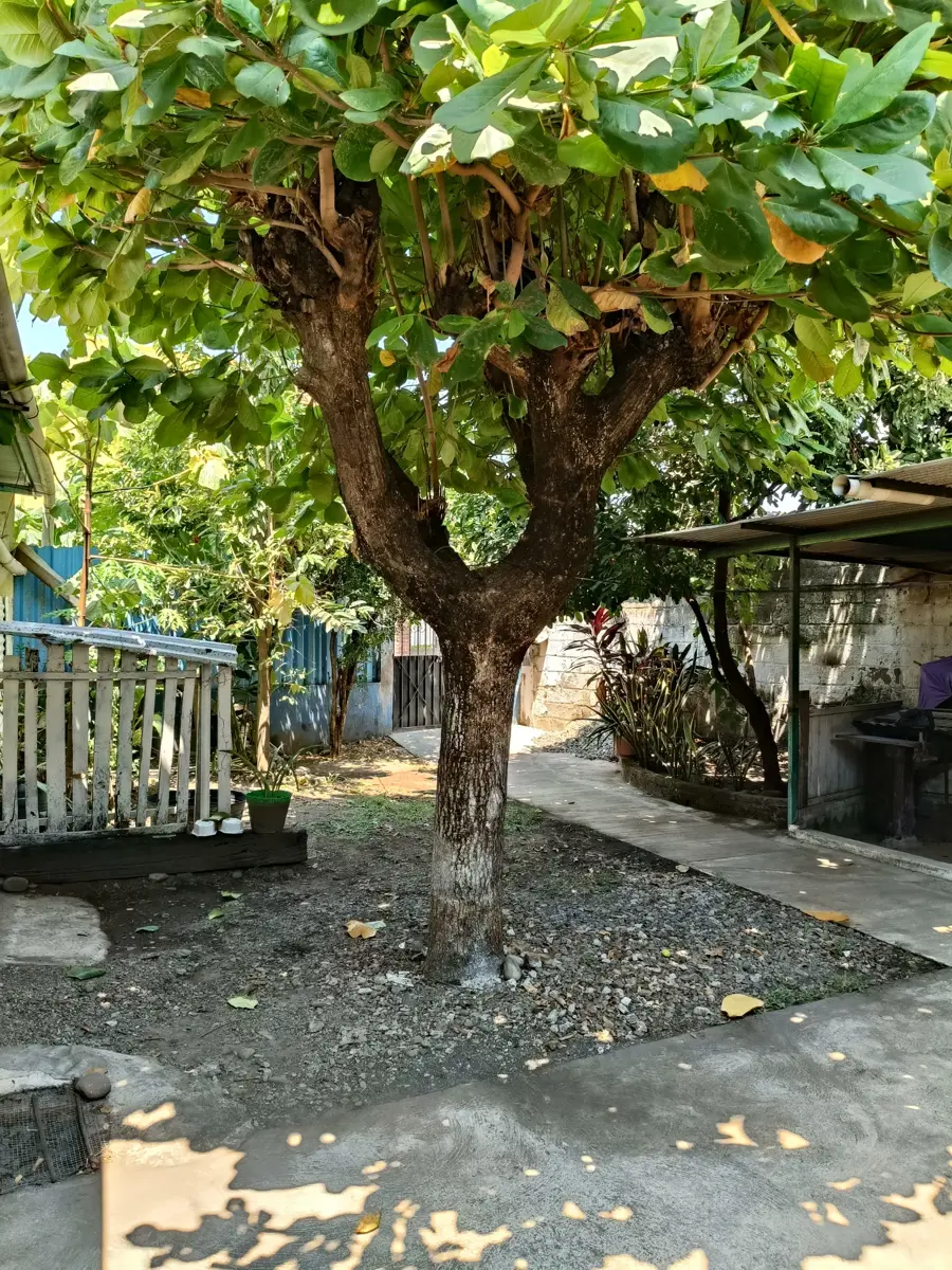 Casa en venta en Teofilo Acebo, Tapachula — foto 1 de 10