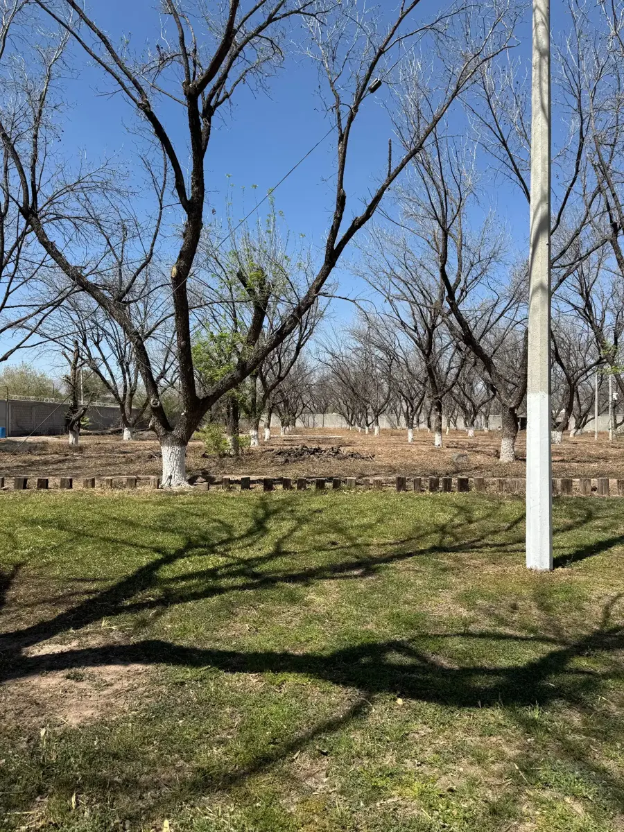 Finca-Rancho en venta en Benito Juárez, Lerdo — foto 1 de 37