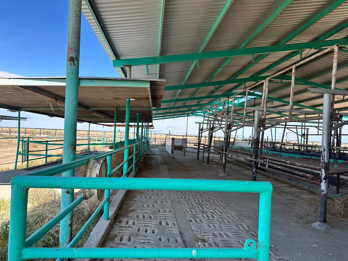 Finca-Rancho en venta en 2 de Marzo, Francisco I. Madero — foto 1 de 15