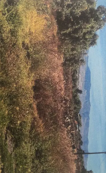 Terreno en venta en El Durazno, San Agustín Tlaxiaca — foto 2 de 8