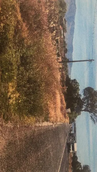 Terreno en venta en El Durazno, San Agustín Tlaxiaca — foto 3 de 8