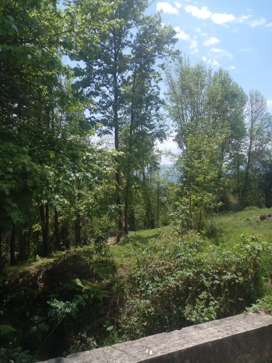 Terreno en venta en Tlacuilolan, Xico — foto 1 de 10