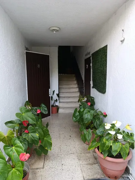 Departamento en renta en Las Palmas, Cuernavaca — foto 2 de 20
