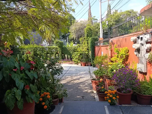 Departamento en renta en Las Palmas, Cuernavaca — foto 3 de 20