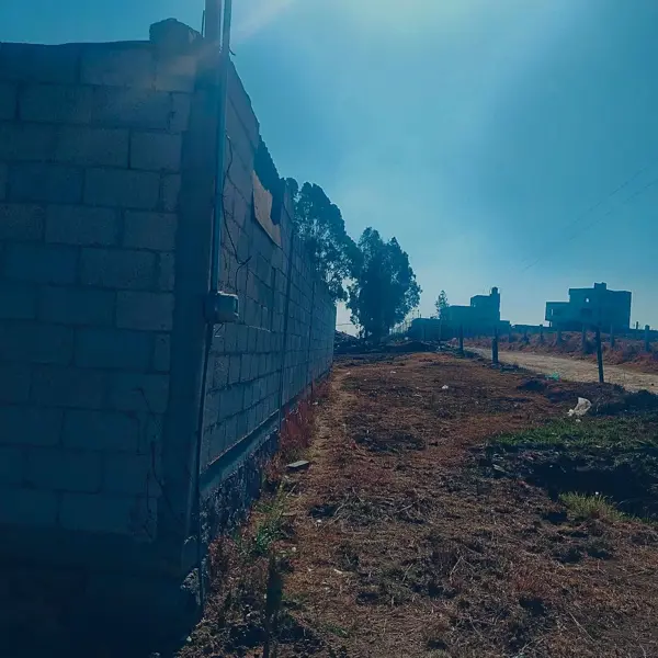 Terreno en venta en Tepexco, Tepexco — foto 3 de 6