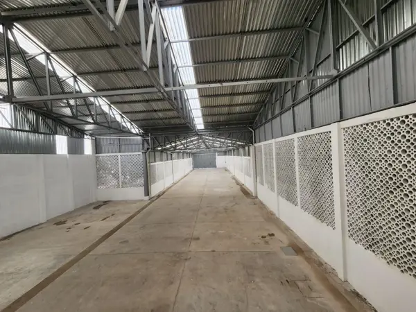 Bodega en renta en Mexico, Tampico — foto 2 de 4