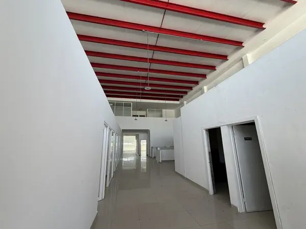 Oficina en renta en Centro, Monterrey — foto 3 de 19