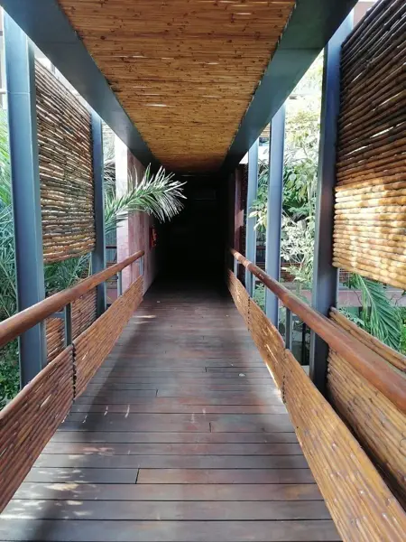 Departamento en renta en Aldea Zama, Tulum — foto 3 de 17
