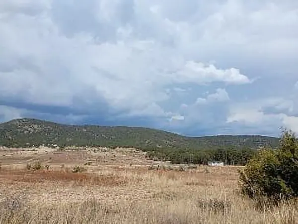 Terreno en venta en Huachichil (El Huache), Arteaga — foto 3 de 8