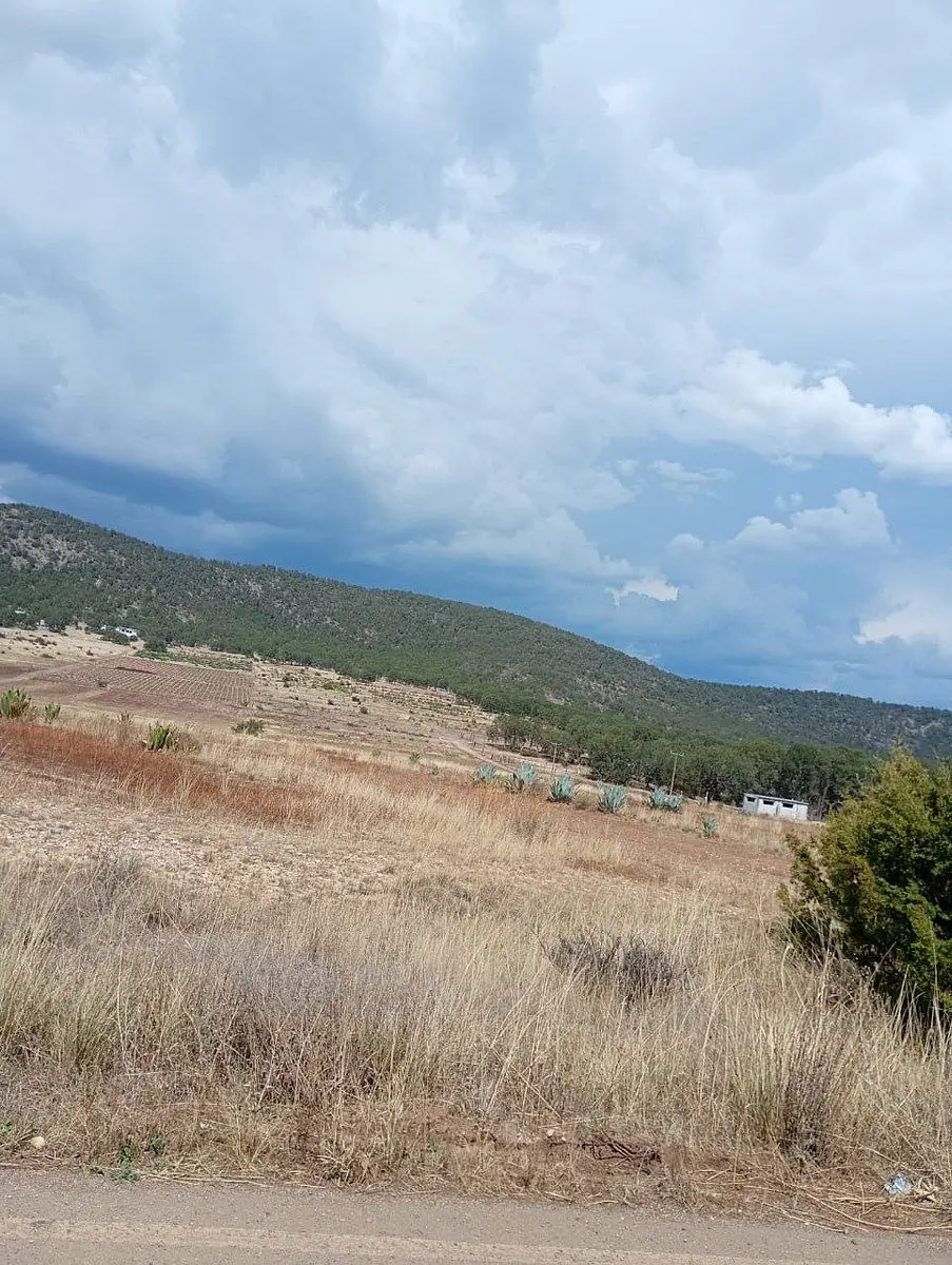 Terreno en venta en Huachichil (El Huache), Arteaga — foto 1 de 8