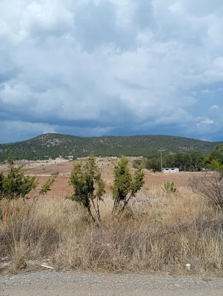 Terreno en venta en Huachichil (El Huache), Arteaga — foto 2 de 8