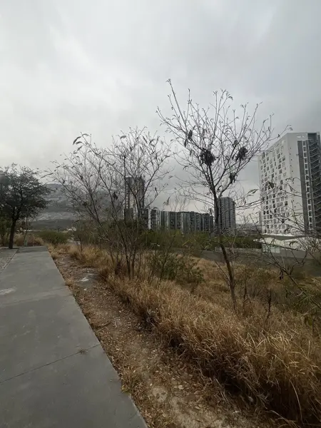 Terreno en venta en Residencial Cordillera, Santa Catarina — foto 2 de 6