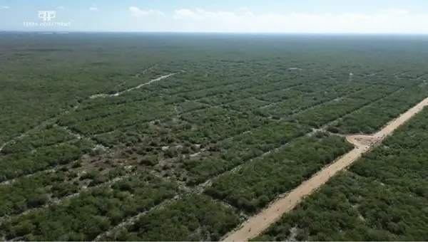 Terreno en venta en Sisal, Hunucmá — foto 3 de 7