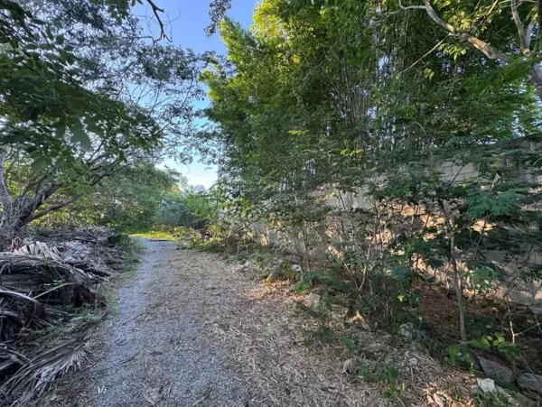 Terreno en venta en Dzitya, Mérida — foto 2 de 13