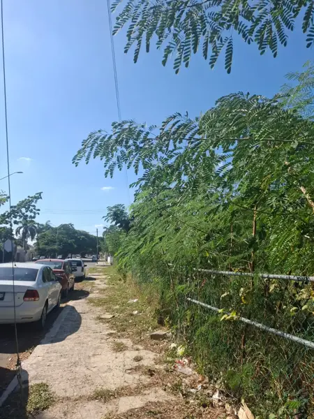 Terreno en renta en Campestre, Mérida — foto 3 de 15
