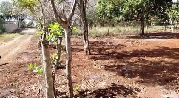 Terreno en venta en Santa Rosa, Tizimín — foto 2 de 10
