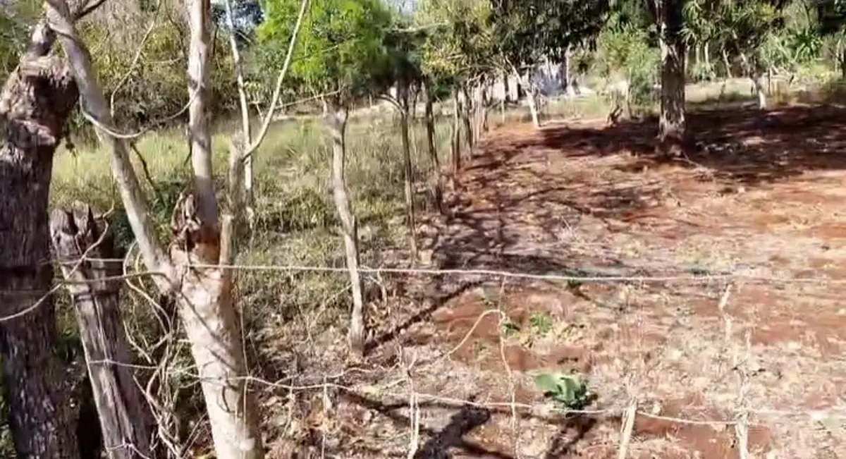 Terreno en venta en Santa Rosa, Tizimín — foto 1 de 10