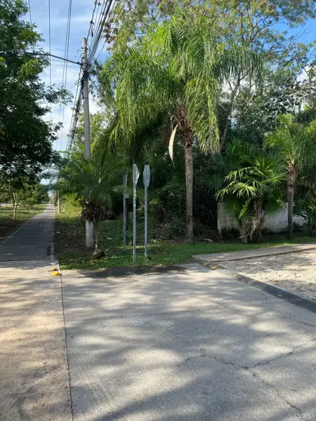 Terreno en venta en Residencial Arbórea, Conkal — foto 3 de 22