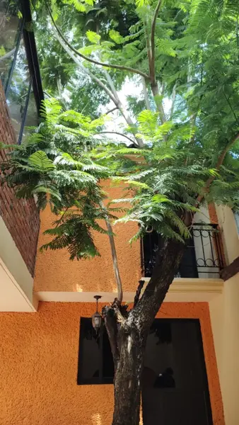 Casa en venta en Santa Fe, Álvaro Obregón — foto 2 de 12