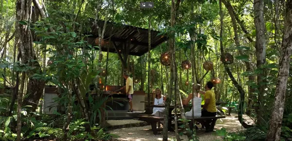 Terreno en venta en Puerto Morelos, Puerto Morelos — foto 3 de 35
