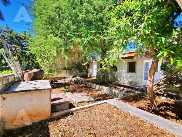 Departamento en venta en Mérida, Mérida — foto 3 de 25