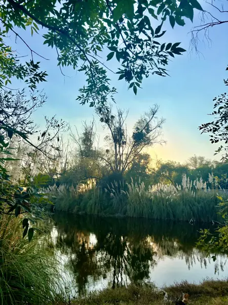 Terreno en venta en El Encino, Huimilpan — foto 3 de 8