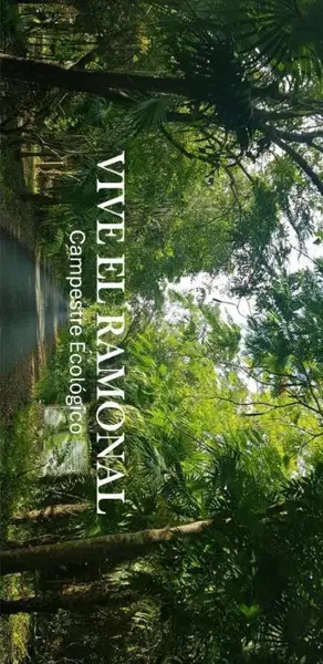 Terreno en venta en Cancún, Benito Juárez — foto 2 de 22