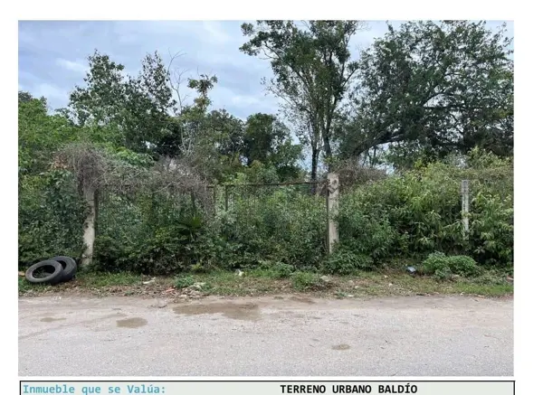 Terreno en venta en Tumben Kaa, Tulum — foto 3 de 6