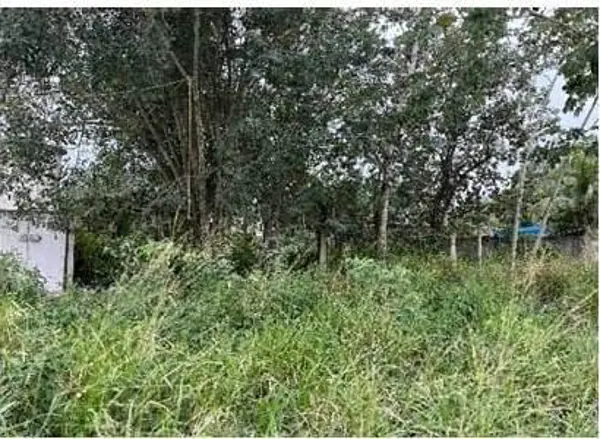 Terreno en venta en Tumben Kaa, Tulum — foto 3 de 7