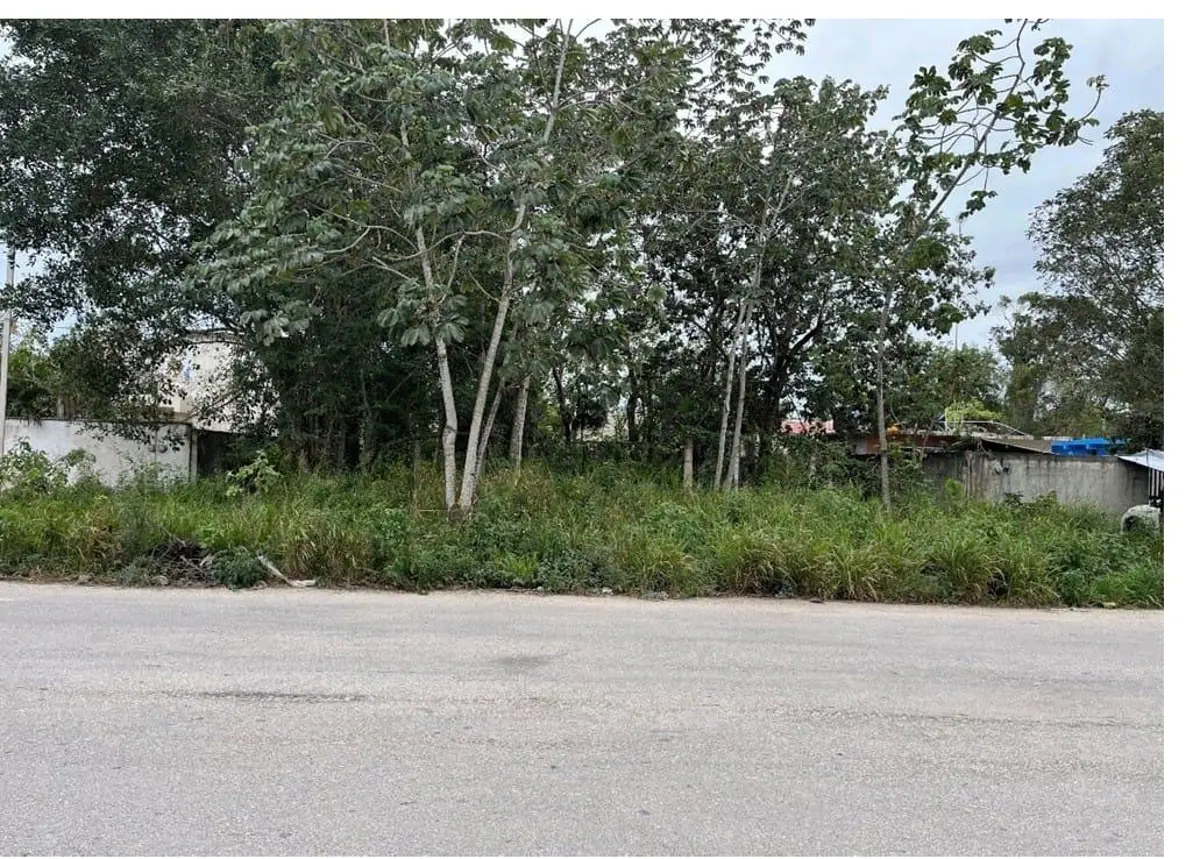 Terreno en venta en Tumben Kaa, Tulum — foto 1 de 7