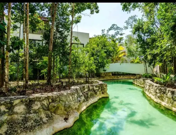 Departamento en renta en Playa del Carmen, Playa del Carmen — foto 2 de 31