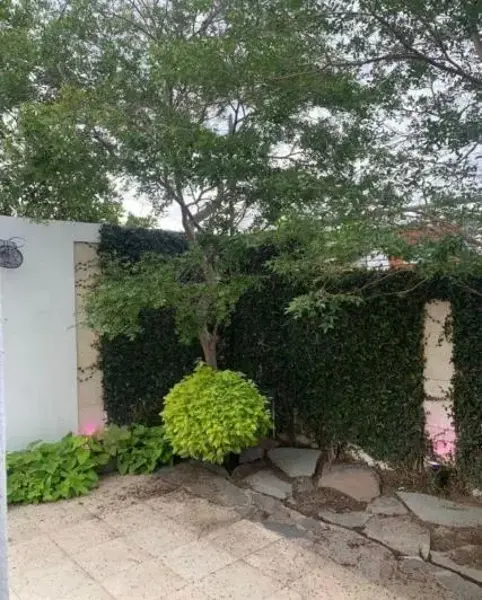 Casa en renta en Solares, Zapopan — foto 3 de 4