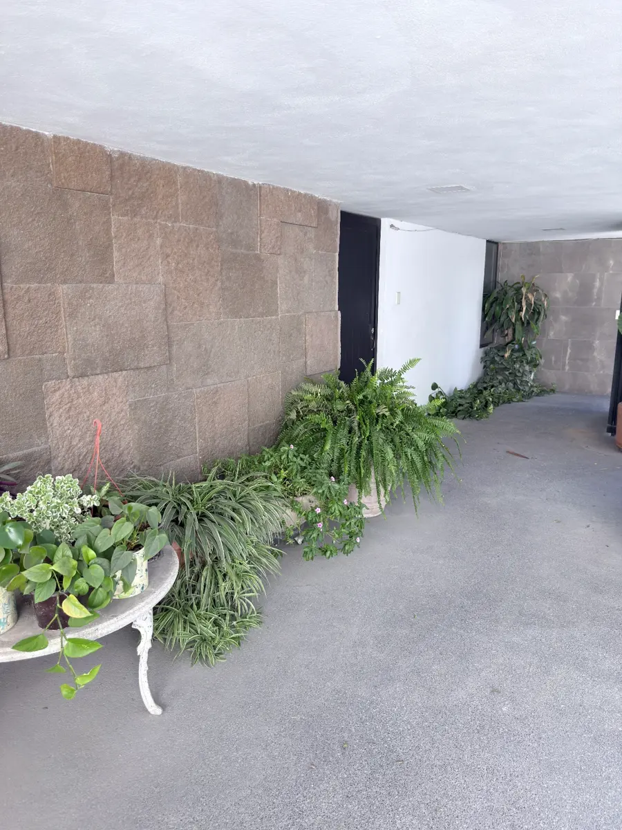 Departamento en renta en Vista Hermosa, Monterrey — foto 1 de 19