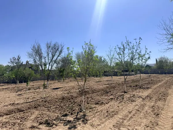 Quinta en venta en La Loma, Lerdo — foto 2 de 6