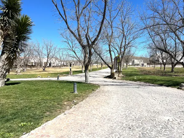 Terreno en venta en Parras, Parras — foto 3 de 17