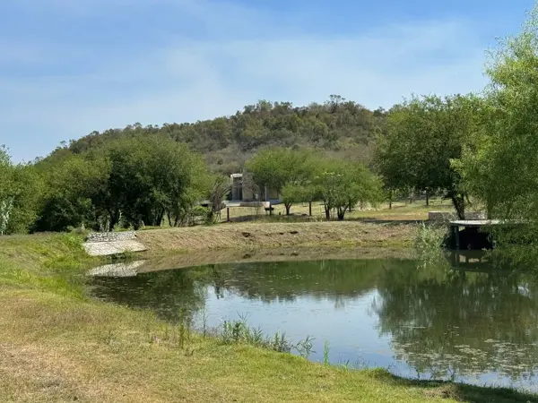 Terreno en Venta en General Escobedo, Montemorelos, Nuevo León 5