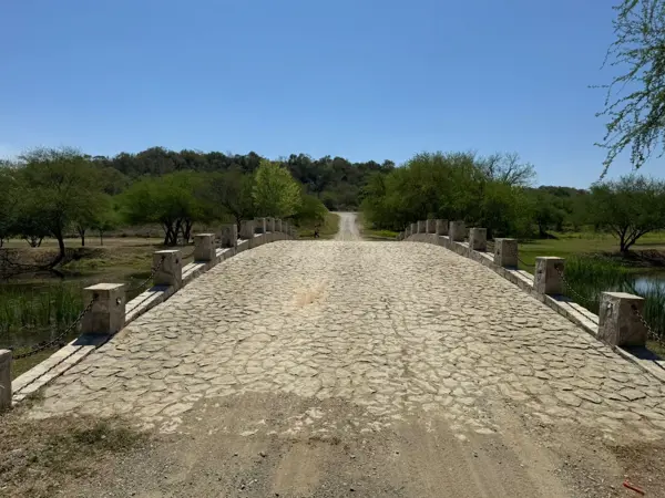 Terreno en Venta en General Escobedo, Montemorelos, Nuevo León 4