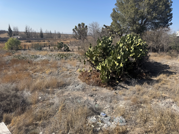 Quinta en venta en Agua Nueva, Saltillo — foto 3 de 24