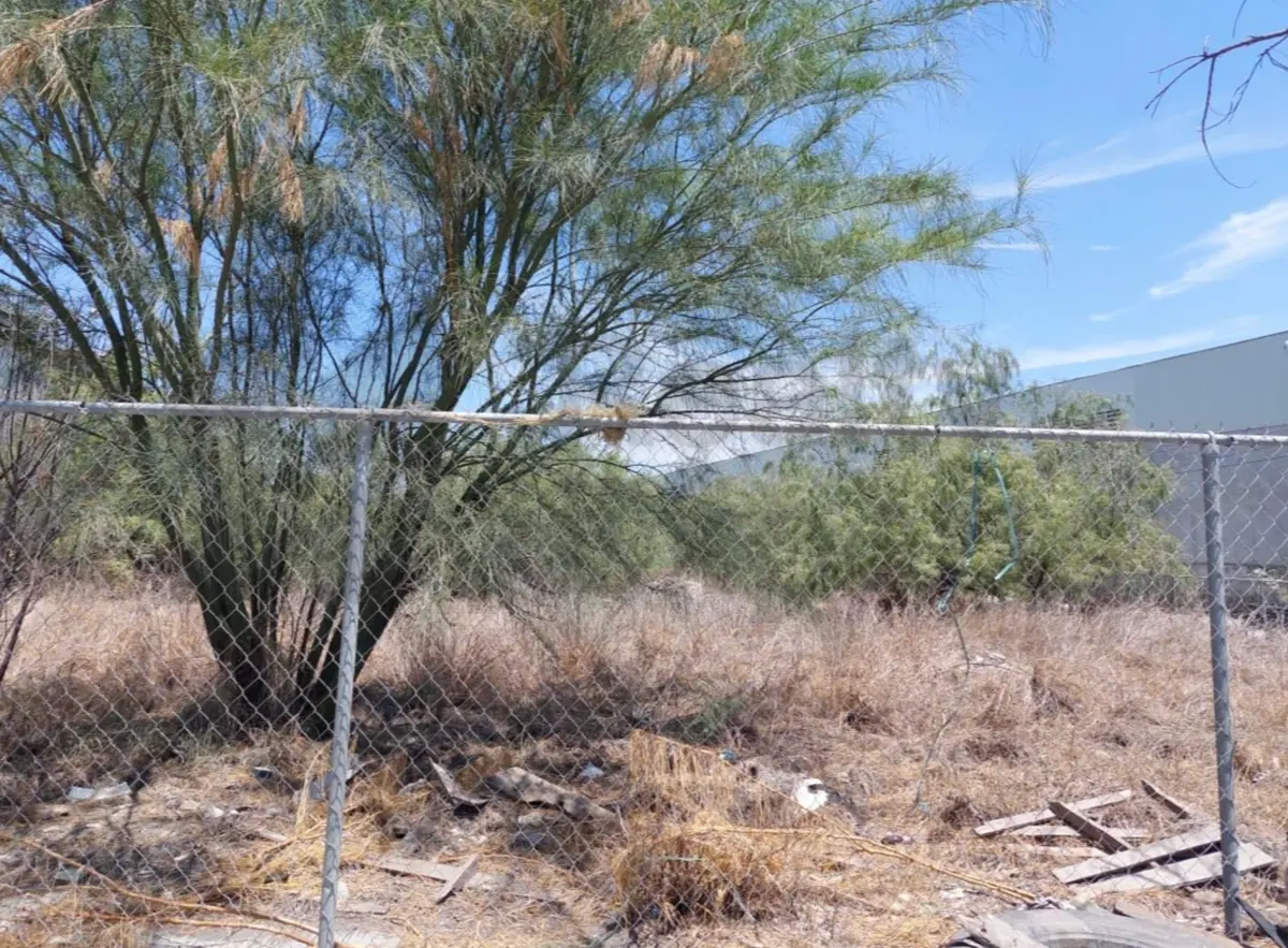 Terreno en renta en Simeprodeso (colectivo Nuevo), Salinas Victoria — foto 1 de 6
