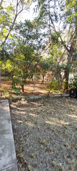 Terreno en venta en Montemorelos Centro, Montemorelos — foto 3 de 7