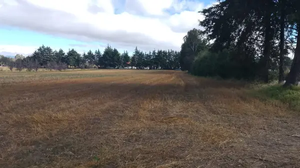 Terreno en venta en San Mateo Inophil, Tzompantepec — foto 2 de 2