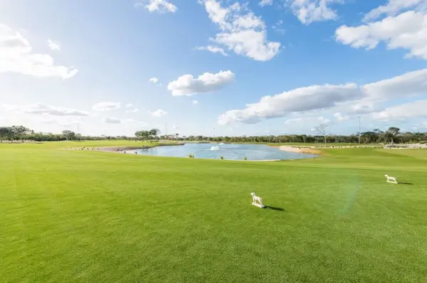 Terreno en venta en Kikteil, Mérida — foto 2 de 12